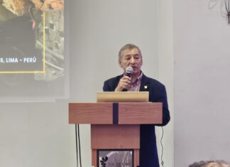 Carlos Barrena y el gerenciamiento por directrices para optimizar procesos en minería | TECNIMIN