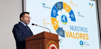 Grupo La Joya Mining presentó proyectos de crecimiento en Perú: inversiones y mayor producción | SURMIN