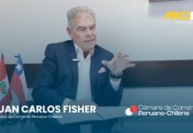 Cámara de Comercio Peruano-Chilena: «La tecnología y know-how de proveedores peruanos y chilenos generan oportunidades de negocio»